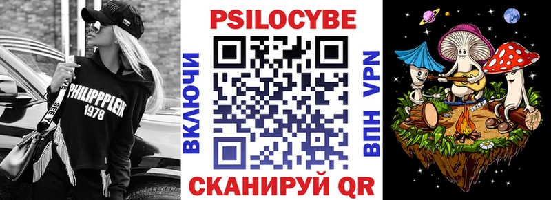 Купить закладки  Динская  Галлюциногенные грибы Psilocybe 